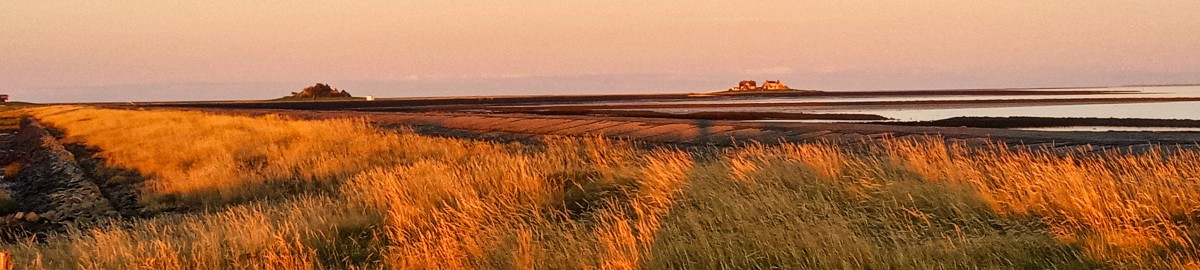 Morgenstimmung auf Hallig Hoge