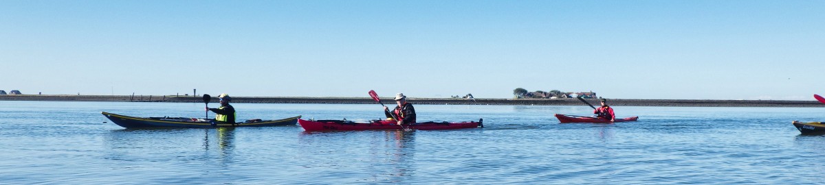 Nordsee Hallig Hoge -> Pellworm