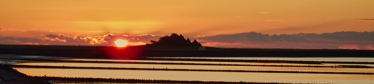 Sonnenuntergang auf Hallig Hooge